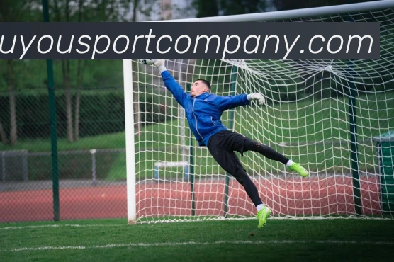 九游足球平台生态图